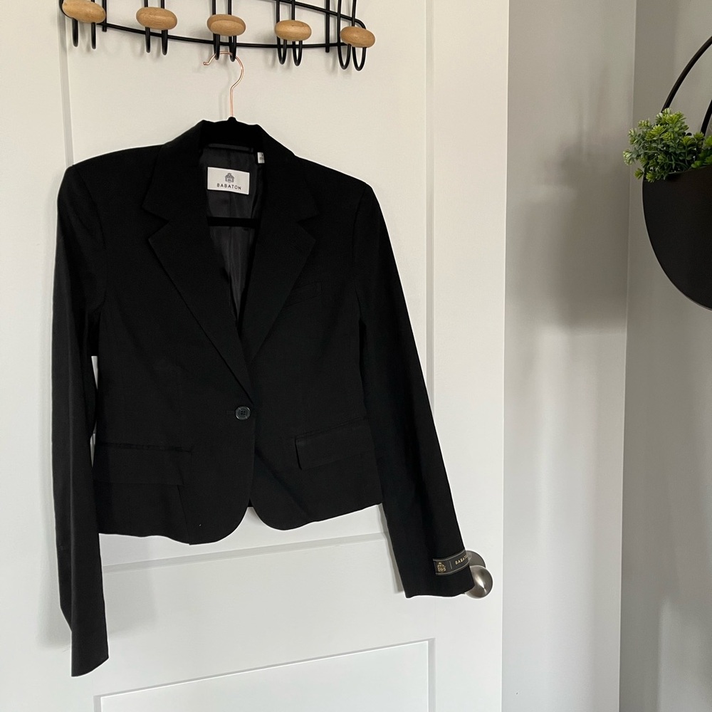 Aritzia Babaton Linen Blazer
